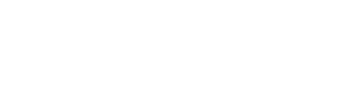Perfiles Digitales