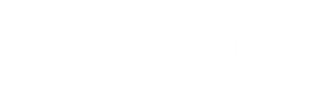 Perfiles Digitales